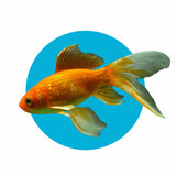 Dynamic Digital Writing 2023